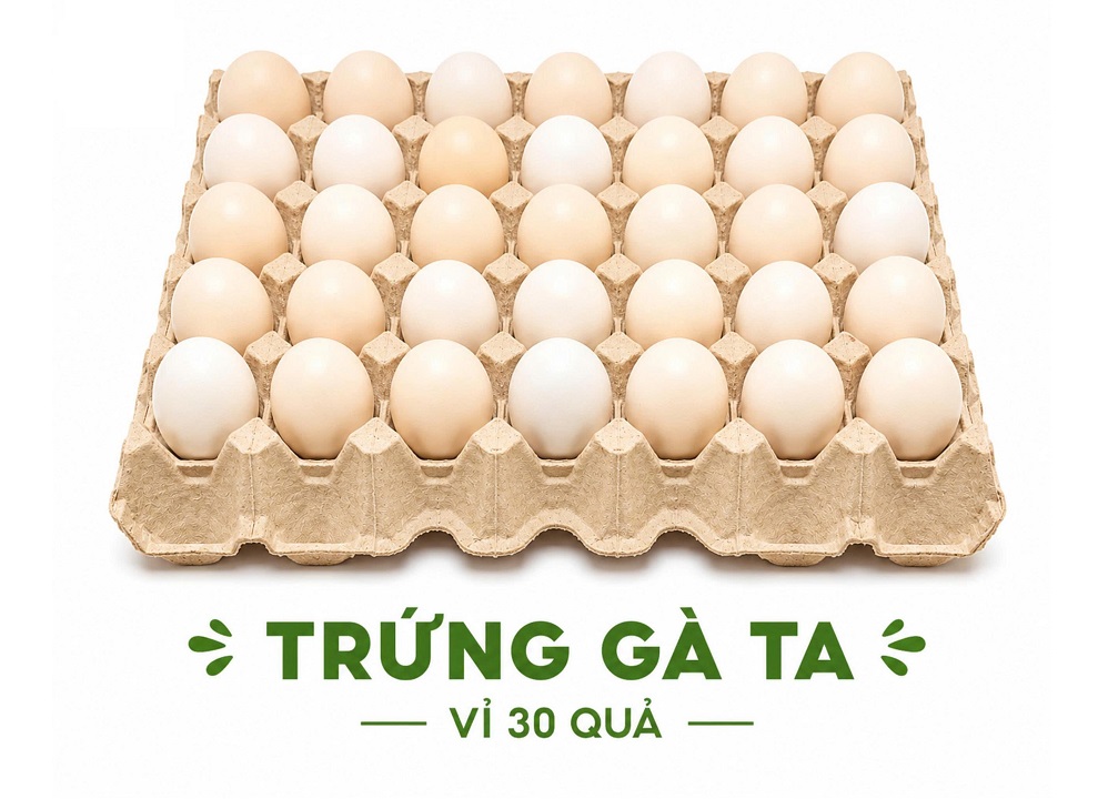 Trứng gà ta tươi vỉ 30 quả – Lựa chọn tiết kiệm cho gia đình và bếp ăn