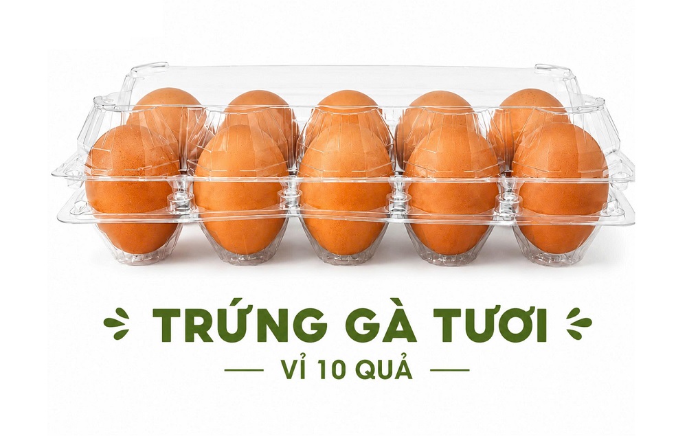 Trứng gà công nghiệp tươi vỉ 10 quả – Tiện lợi cho bữa ăn hằng ngày