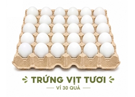 Trứng vịt tươi vỉ 30 quả – Nguồn thực phẩm quen thuộc cho bữa ăn gia đình