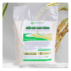 Gạo Nếp Cái Hoa Vàng Chất Việt