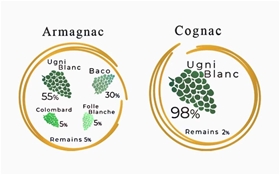 Sự khác biệt giữa Cognac và Armagnac