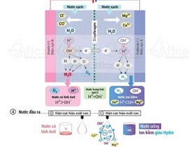 Tại sao nên uống nước có tính kiềm Alkaline?