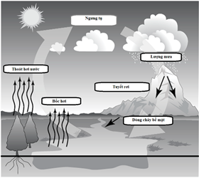 Khái niệm cơ bản về nước